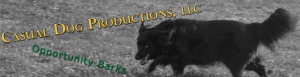 Casual Dog Productions banner