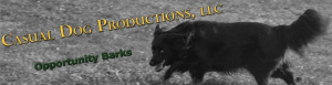 Casual Dog Productions, LLC banner