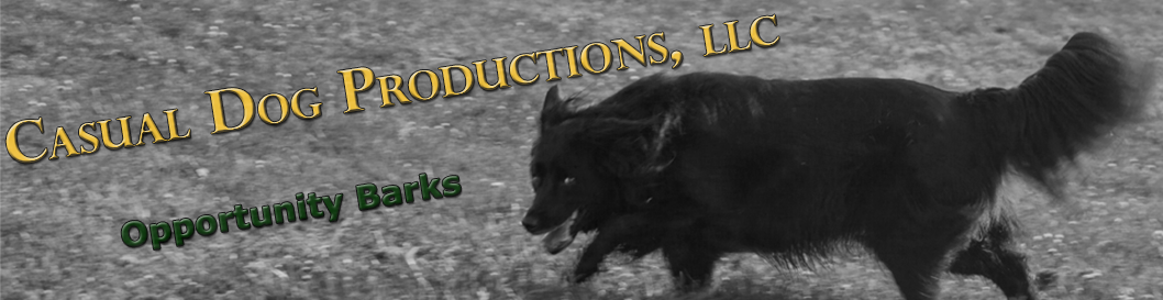 Casual Dog Productions, LLC