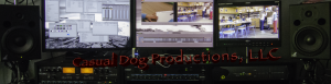 Casual Dog Productions Edit suite